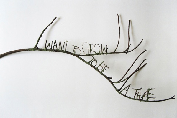 © Amit Greenberg-Coocon Tree Branches and moss 20 X 24 X 5 inches. 2010