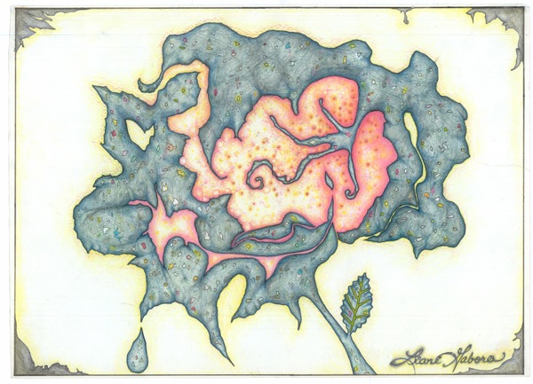 Lead Rose, 1995 Pencil, water color ink | Liane Gabora